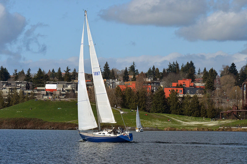Baltic 38DP Shoshanna