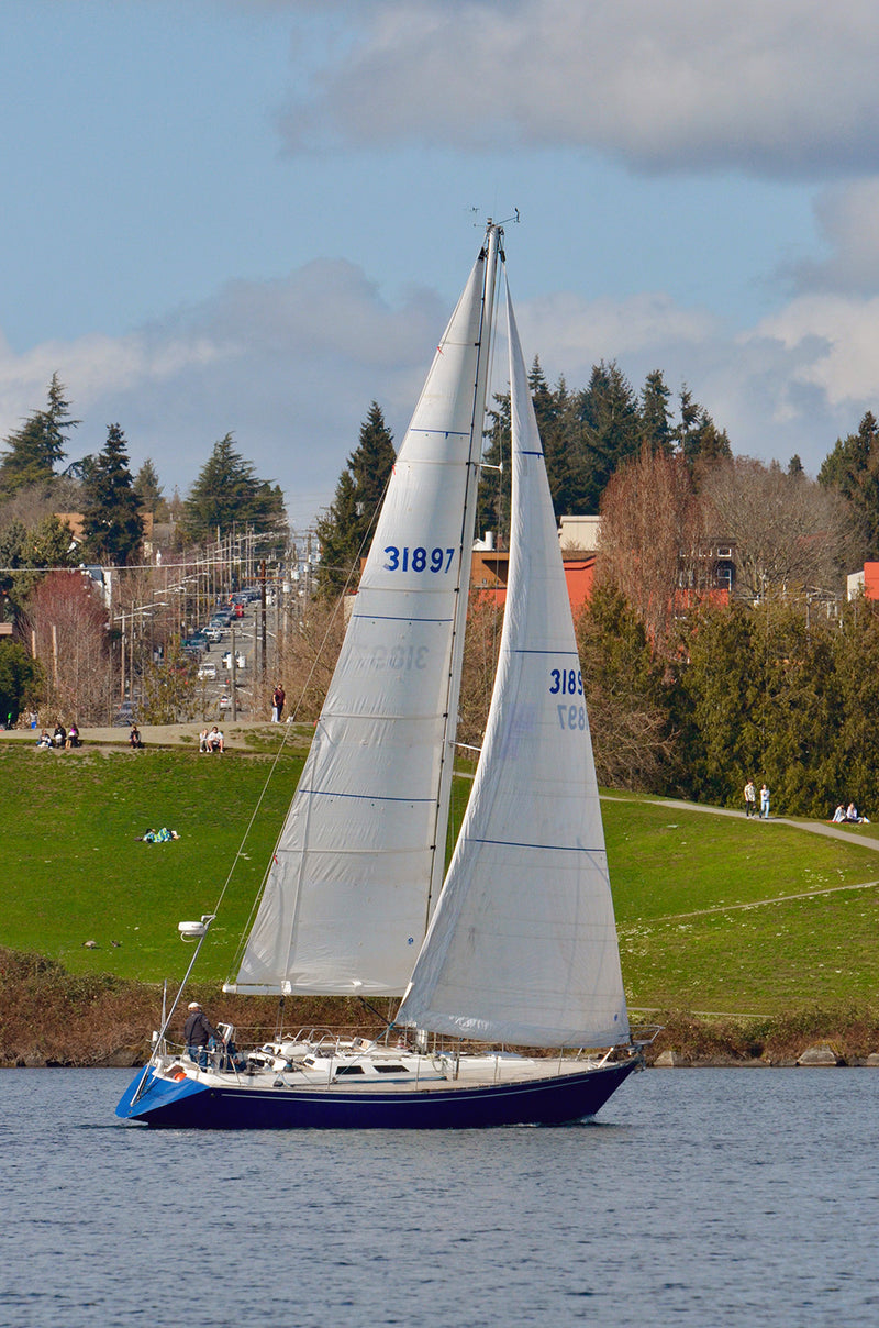 Baltic 38DP Shoshanna