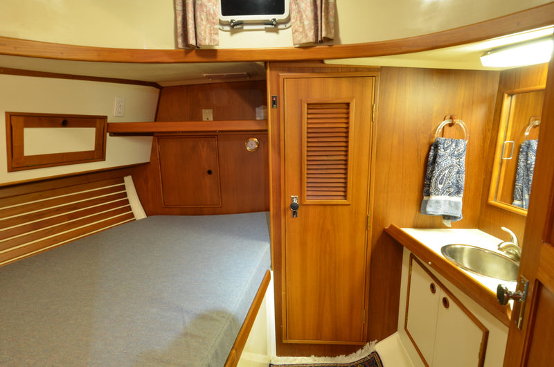 Nonsuch 36 - Catnip