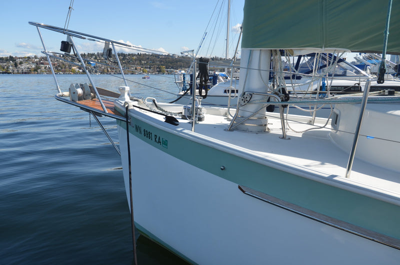 Nonsuch 36 - Catnip