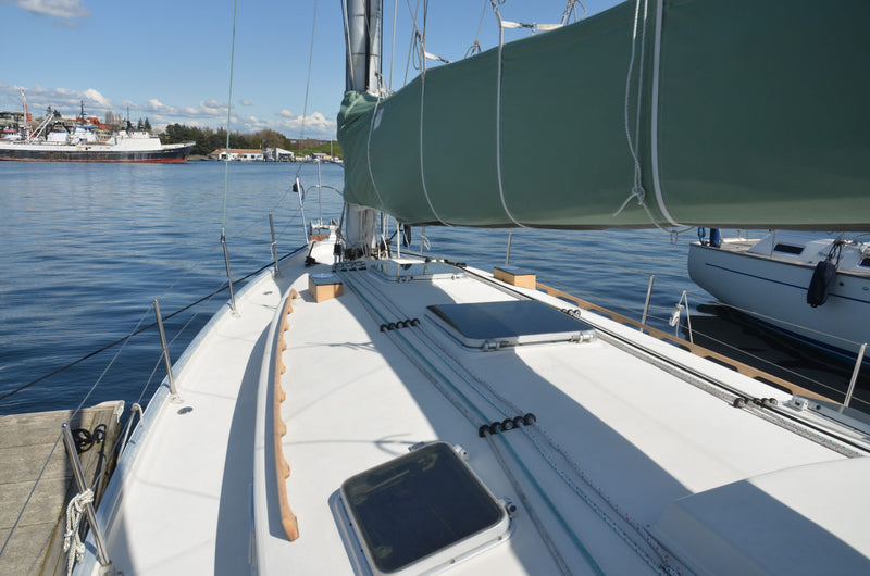 Nonsuch 36 - Catnip