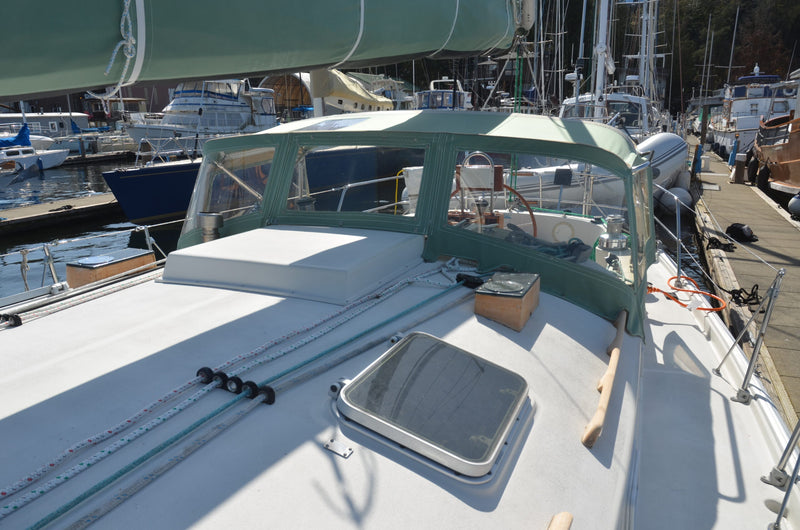 Nonsuch 36 - Catnip