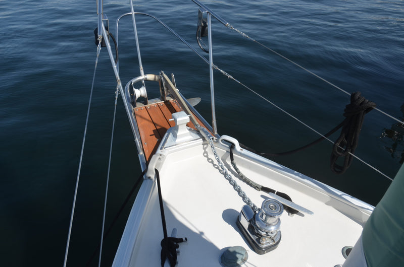 Nonsuch 36 - Catnip
