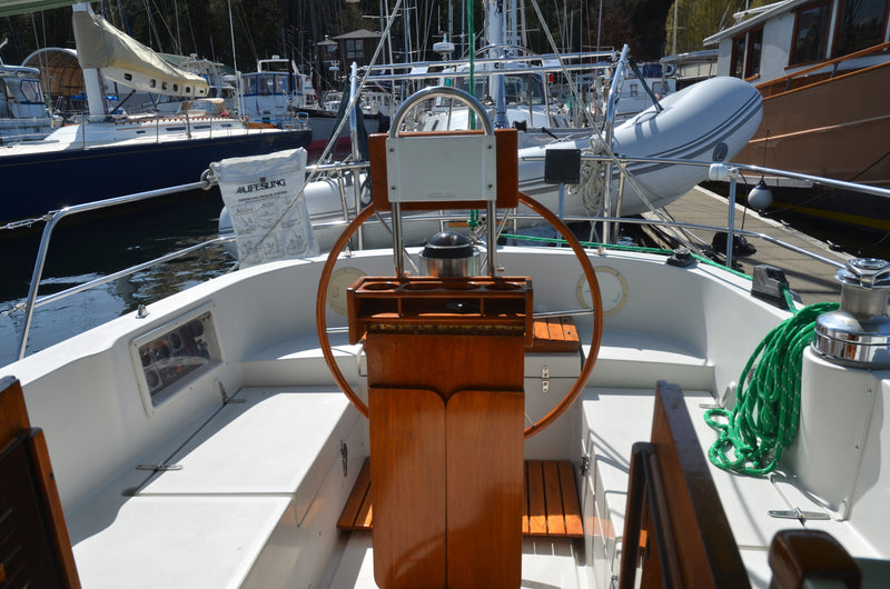 Nonsuch 36 - Catnip