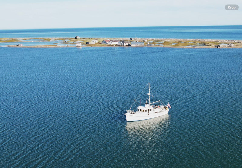 Custom 48' Steel Trawler - IRON WILL