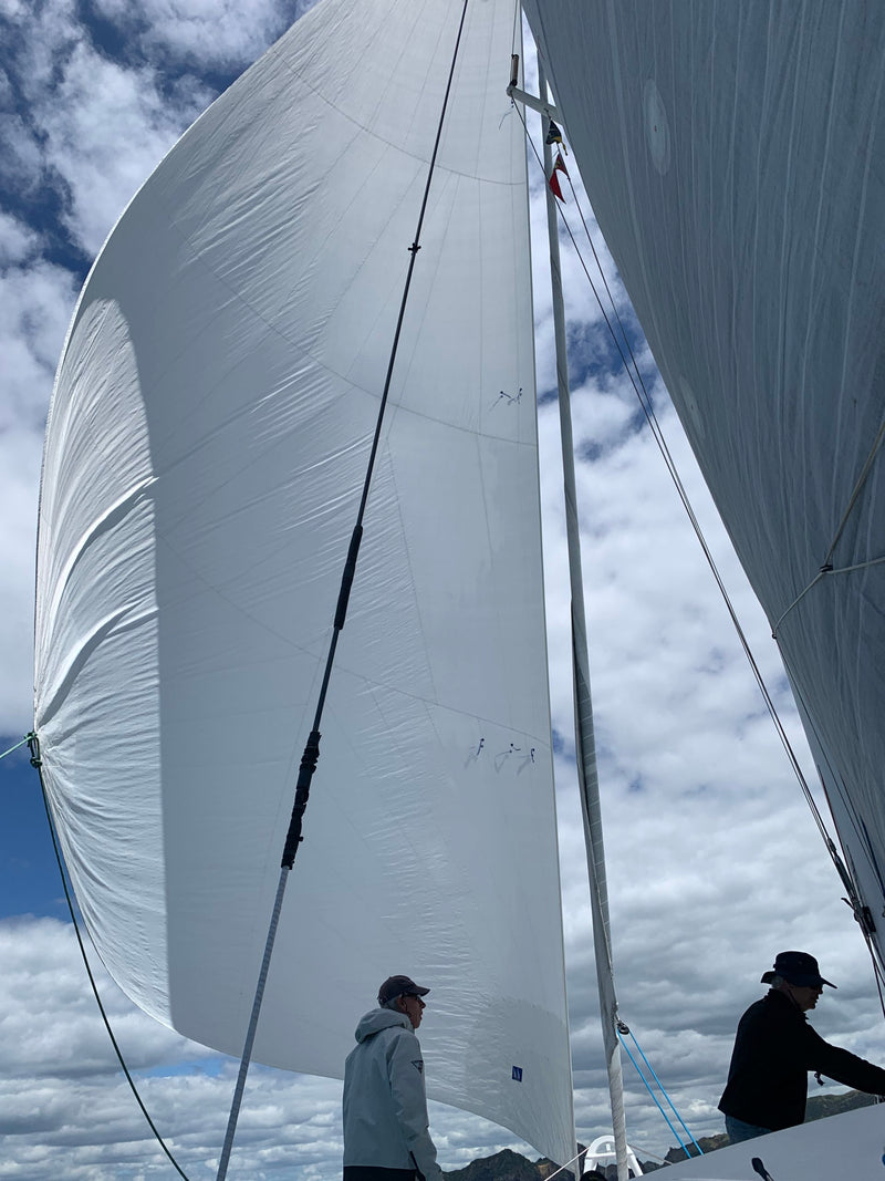 Outremer 49 - Stray Cat