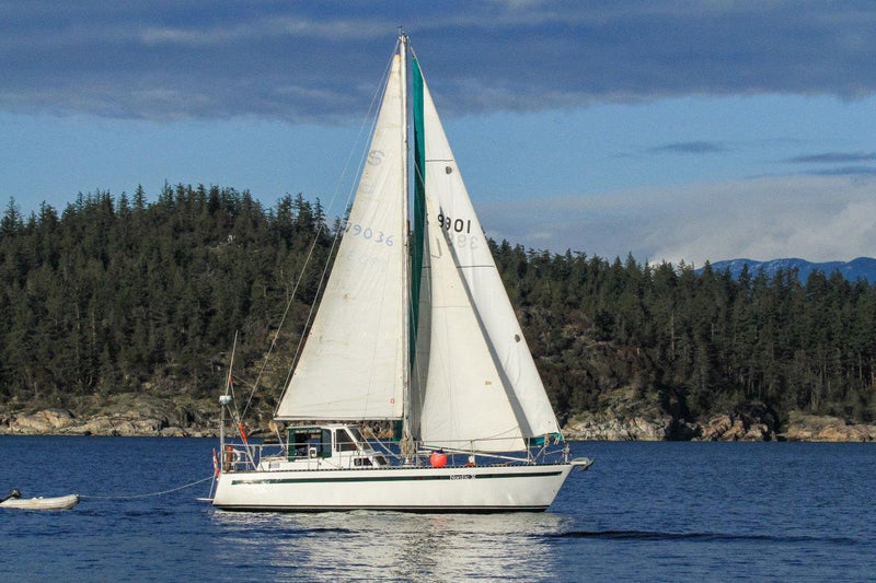 Pedersen 45 Pilothouse Cutter