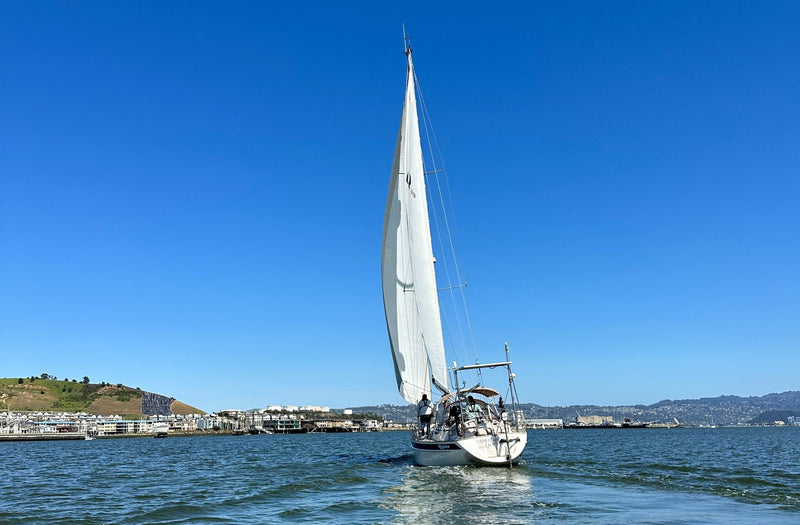 Hallberg-Rassy 39 - Rejoice