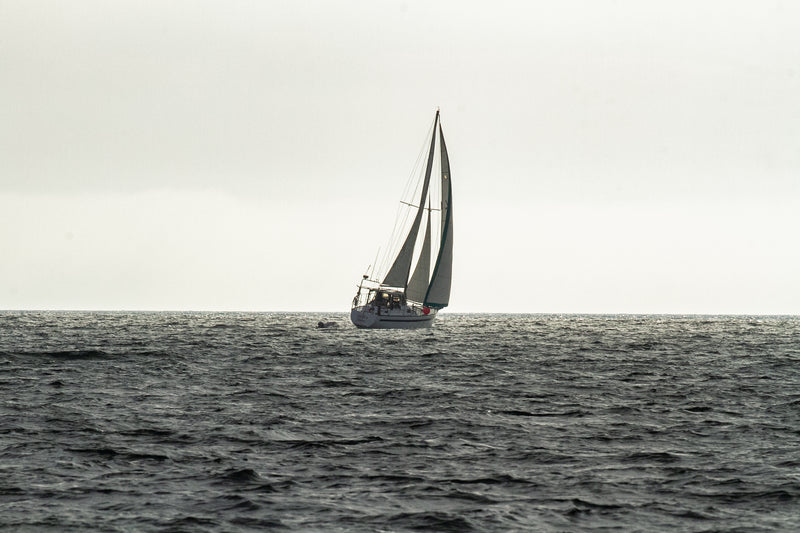Pedersen 45 Pilothouse Cutter