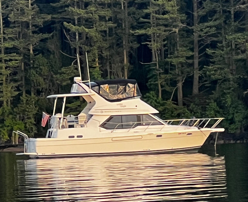 Bayliner 4087 - LAZY DAYS