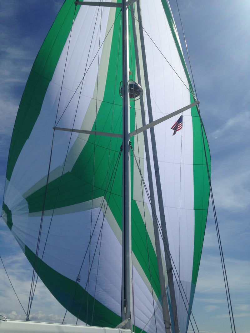Waterline 55 - DELPHINA