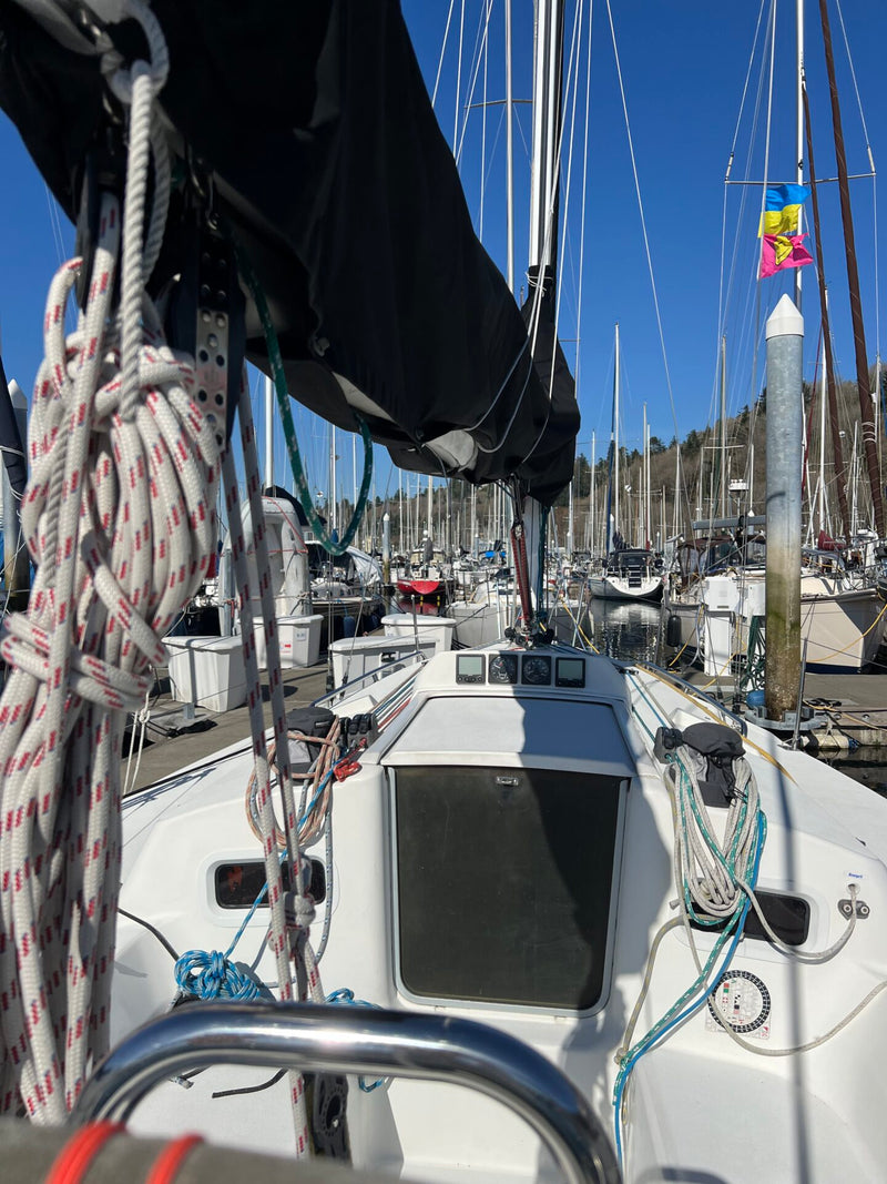 J/109 - Pelagic