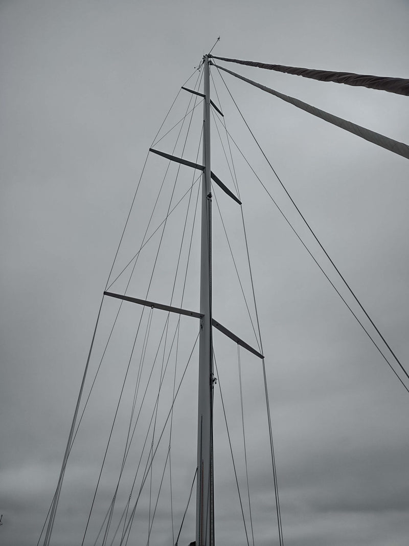 Saga 48 - ARCTIC RAVEN