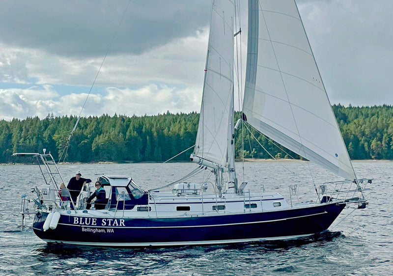 Blue Star - Valiant 39