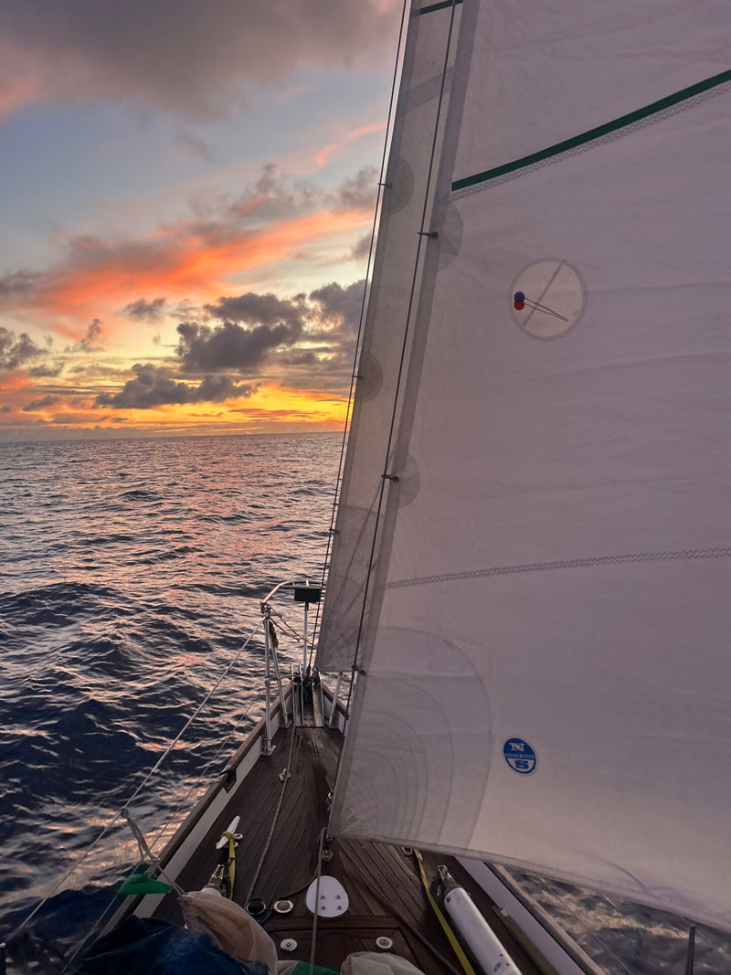 Chuck Burns Custom Schooner - SIR EDMUND