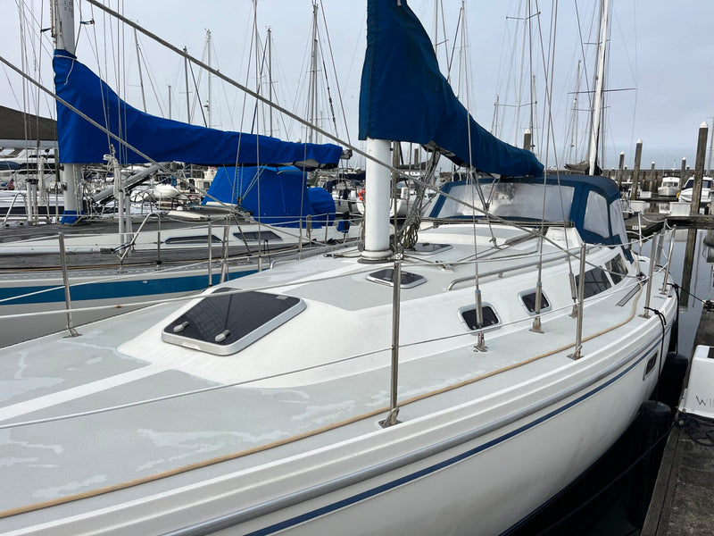 Catalina 36 - WILDROSE