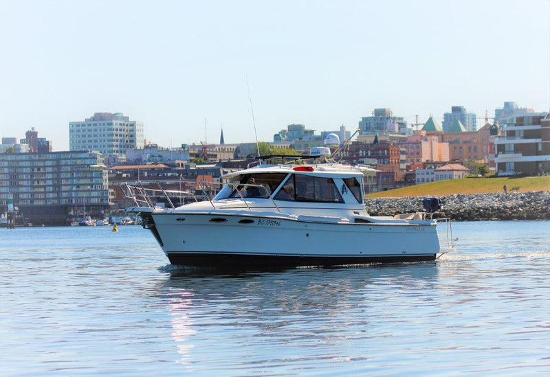 Cutwater 28_Enterprise
