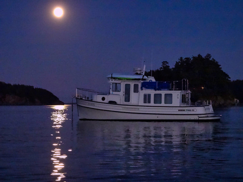 Nordic Tug 32 - Puffin