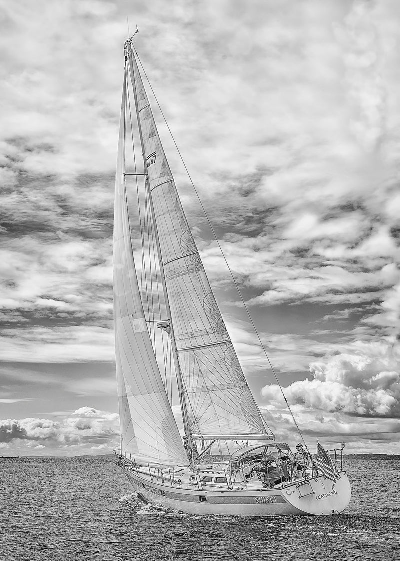 Shibui - Norseman 447AC