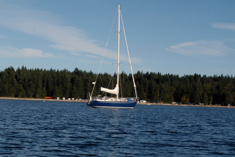 Baltic 38DP Shoshanna