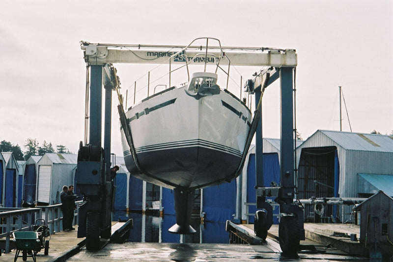 Waterline 55 - DELPHINA