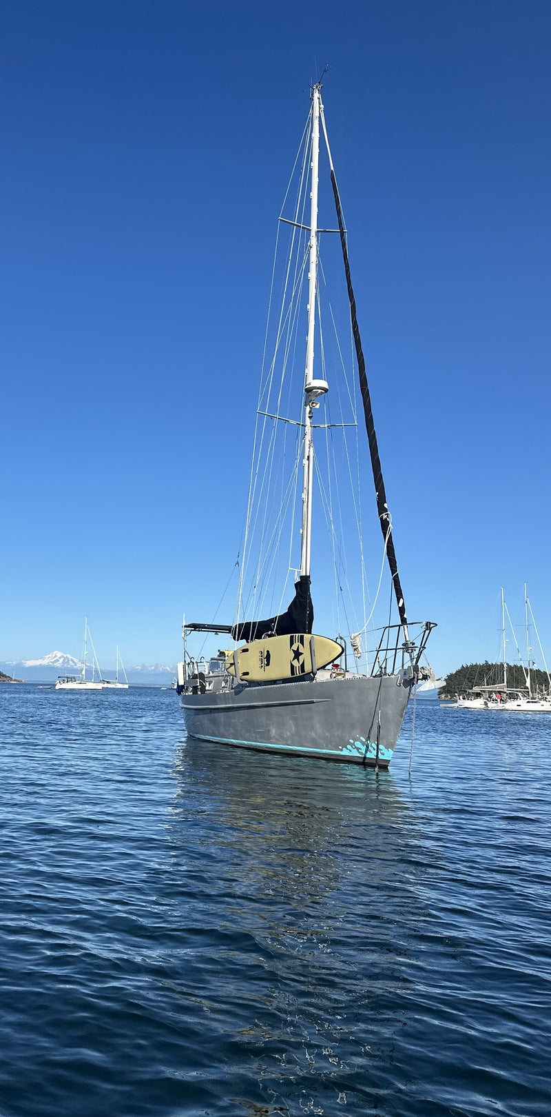 Brewer 35 - PATINA
