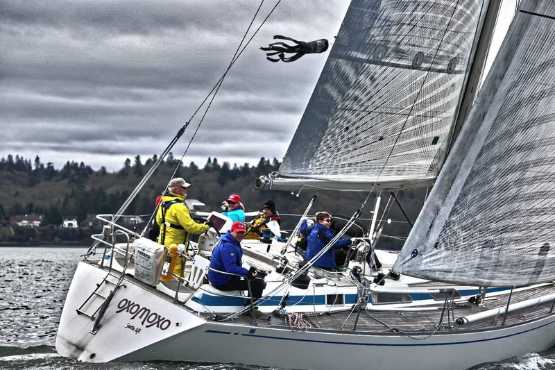 Swan 391 Oxomoxo