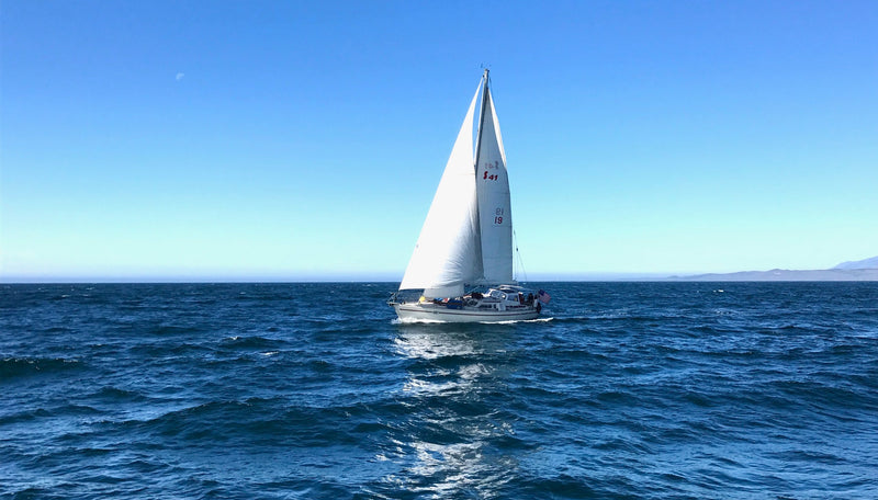 Sceptre 41 Utopias